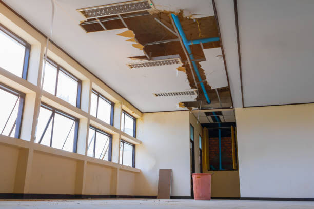 Best Mold removal after water damage  in Maryville, MO