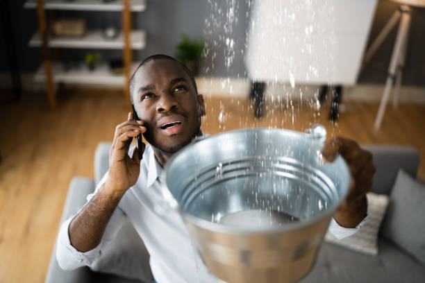 Best Water damage restoration near me  in Maryville, MO