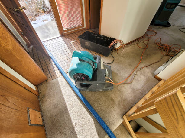 Best Sewage cleanup and water damage restoration  in Maryville, MO