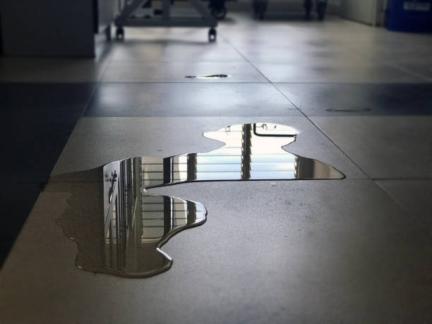 Best 24-hour water damage restoration  in Maryville, MO