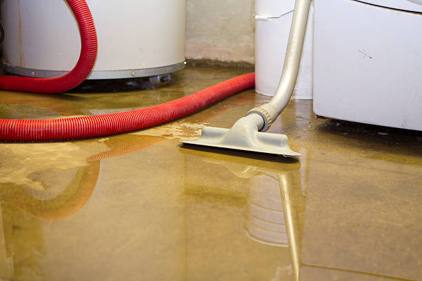 Best Local water damage restoration  in Maryville, MO