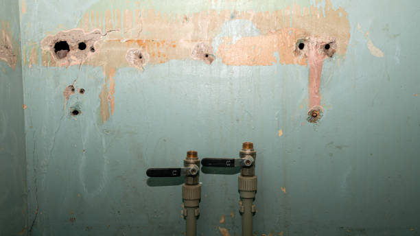 Best Carpet water damage restoration  in Maryville, MO