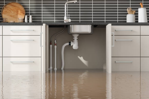 Best Water damage cleanup near me  in Maryville, MO