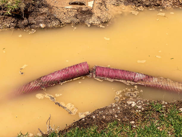 Best Local water damage restoration  in Maryville, MO